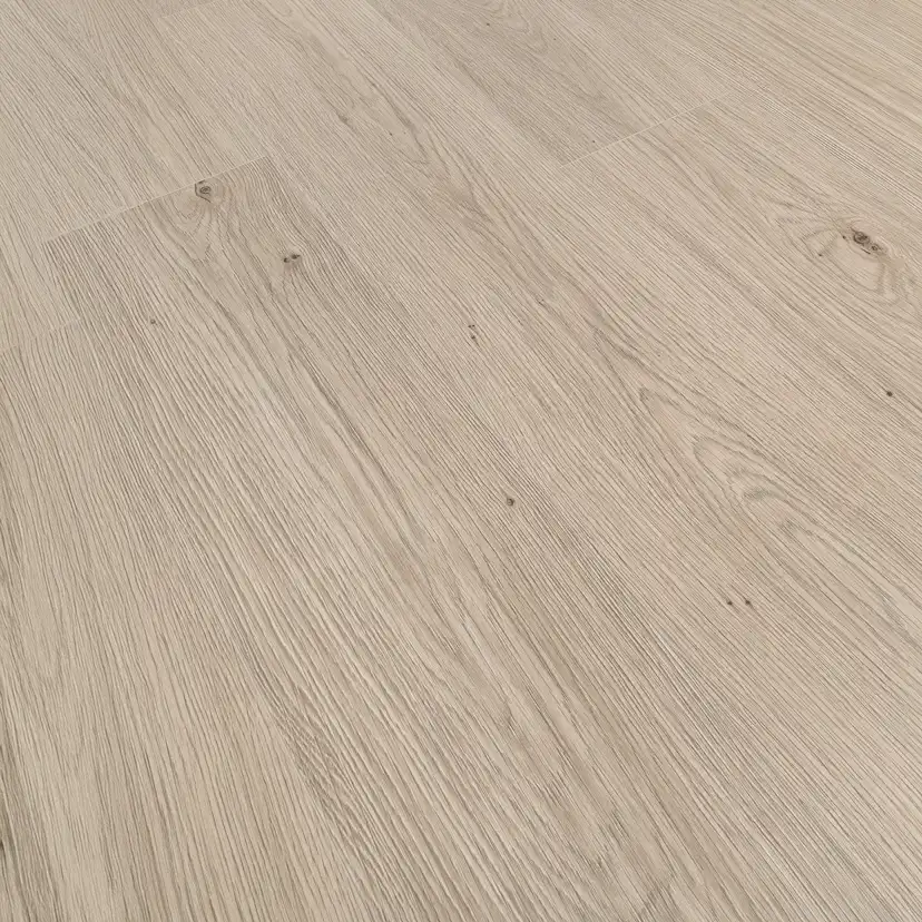 Laminatgolv Oak Camel 8 mm, 1-stav