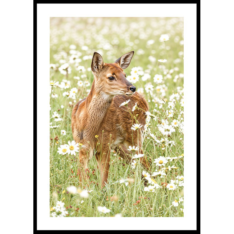 Poster Gallerix Deer in Bloom