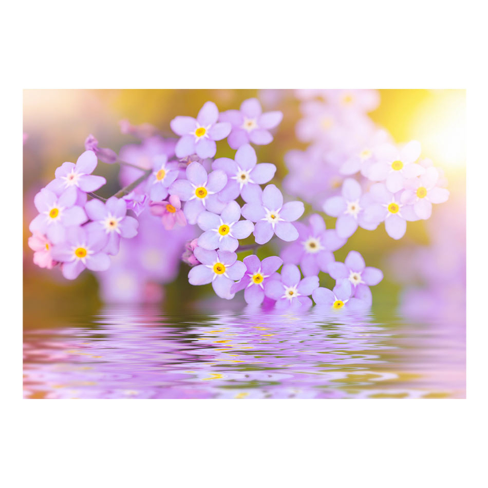 Violet Petals In Bloom 100x70 Storlek: 100x70 cm