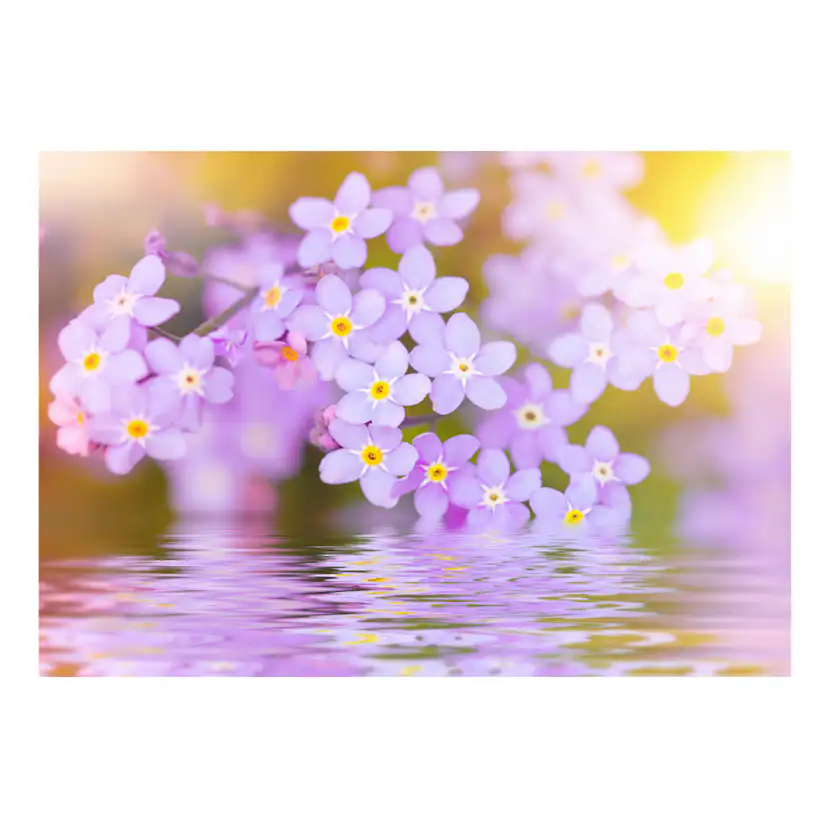 Violet Petals In Bloom 100x70 Storlek: 100x70 cm