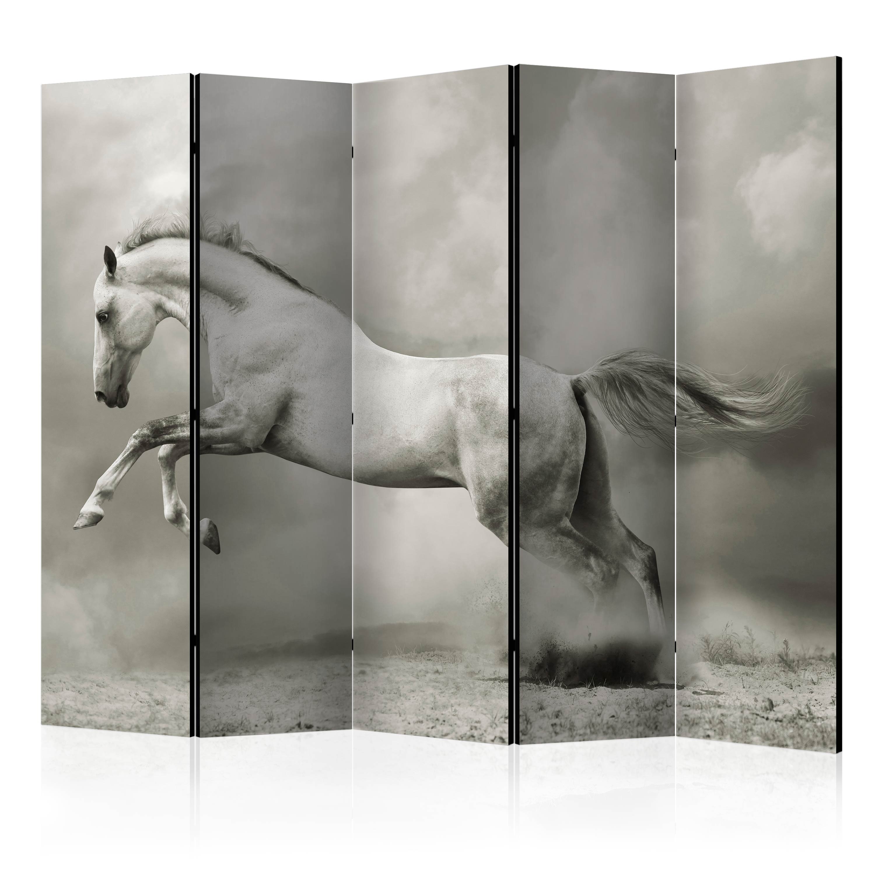 Rumsavdelare Skärmvägg Arkiio Wild Stallion II 225x172 cm