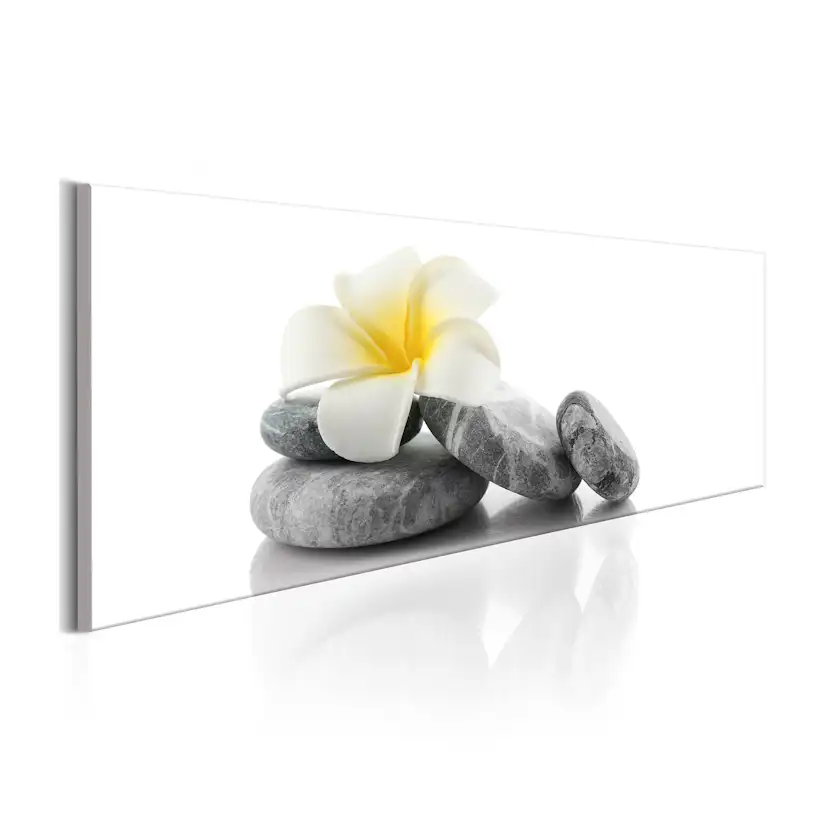 Tavla Arkiio White Lotus