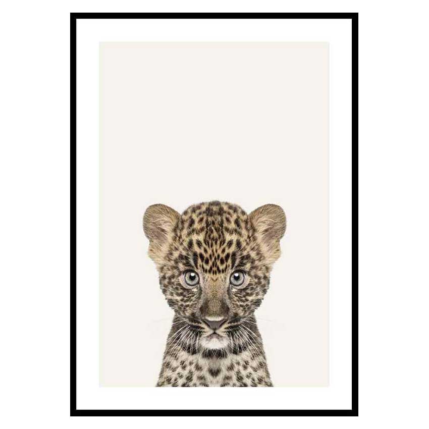 Poster Gallerix Baby Leopard