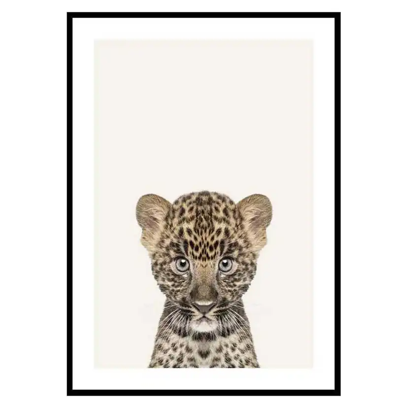 Poster Gallerix Baby Leopard