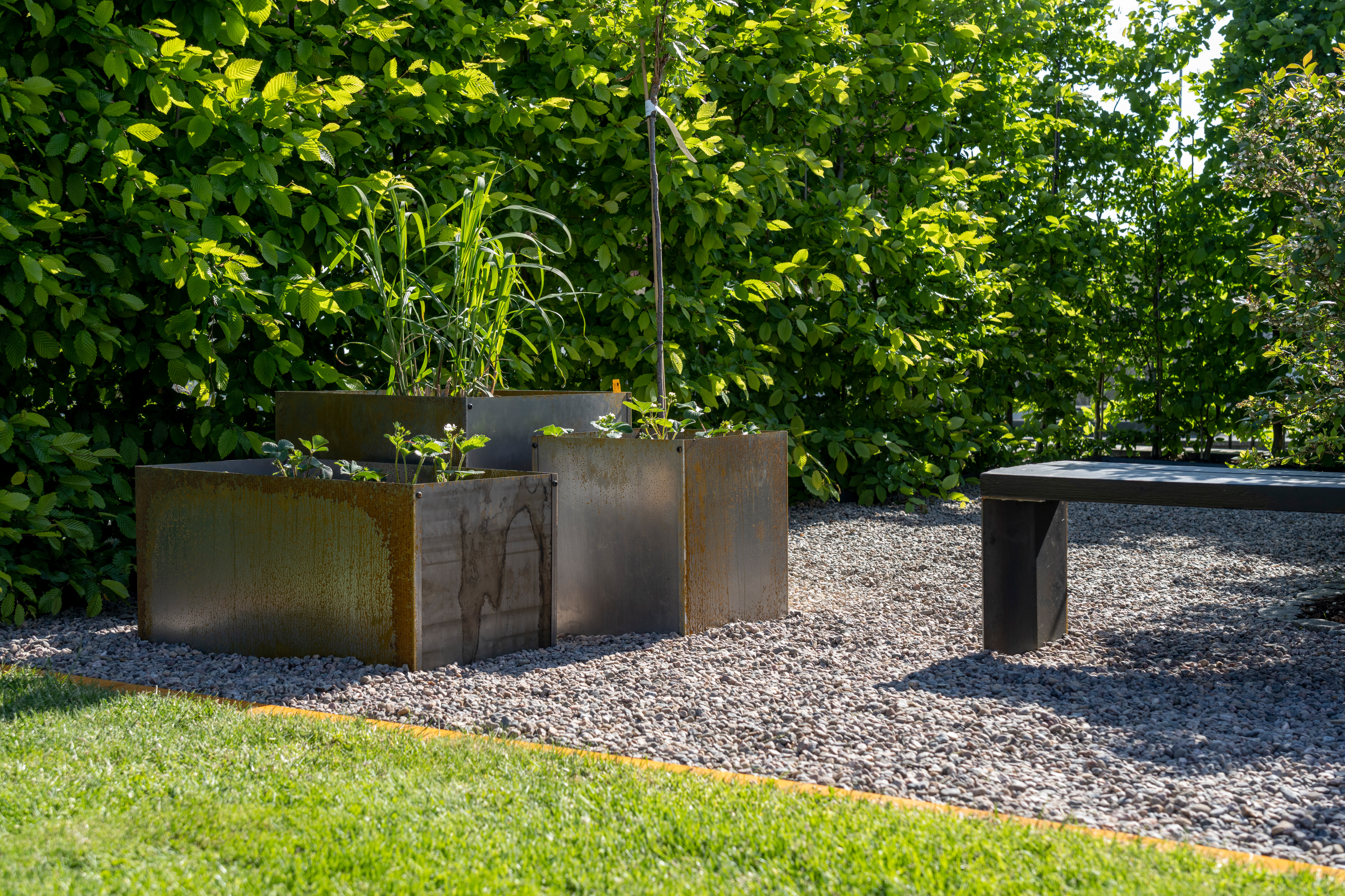 Ytterkruka Skotte Garden Corten