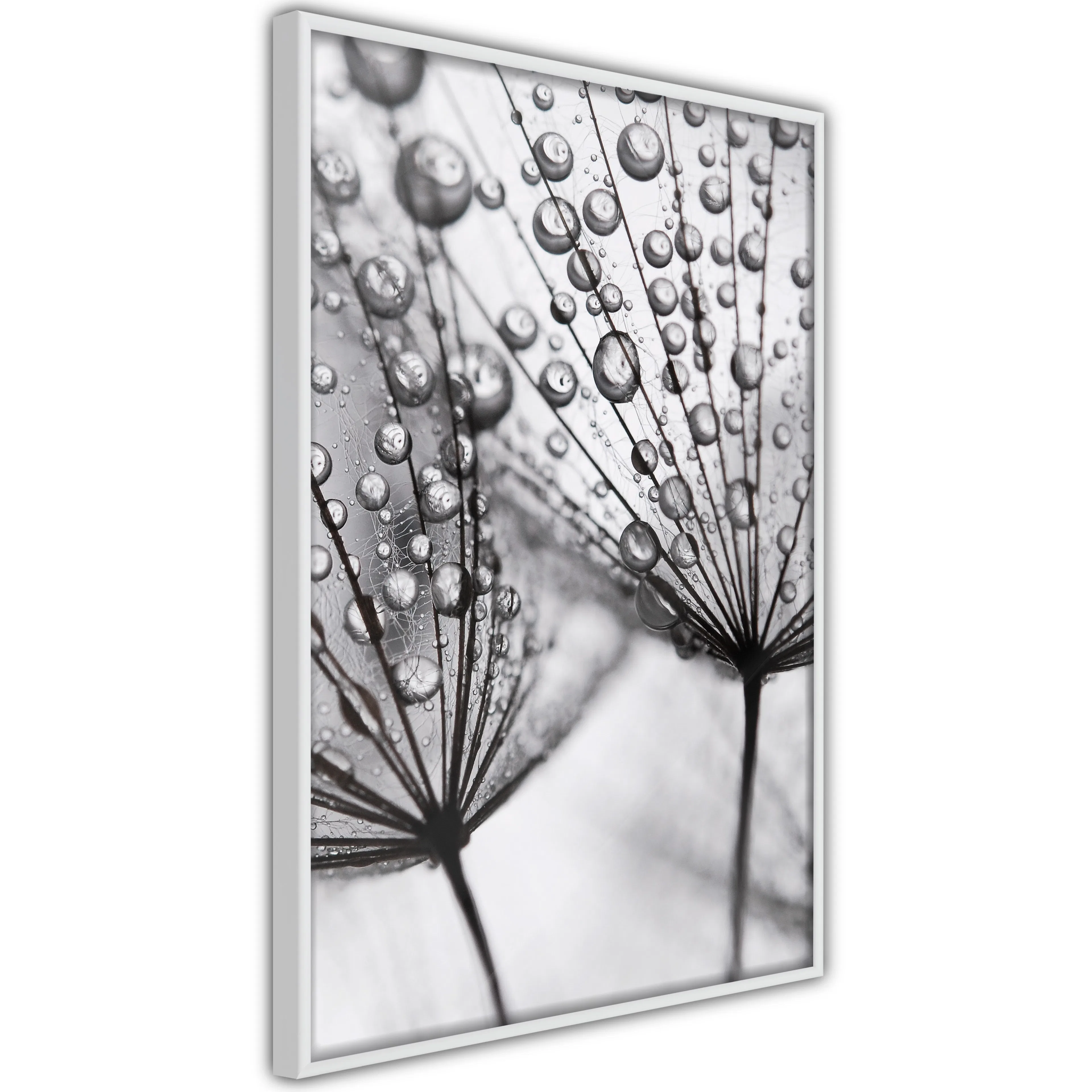 Poster Artgeist Affisch Morning Dew