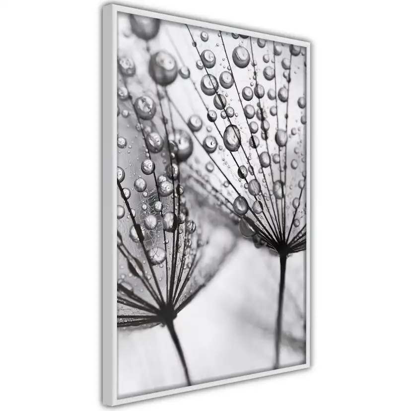 Poster Artgeist Affisch Morning Dew