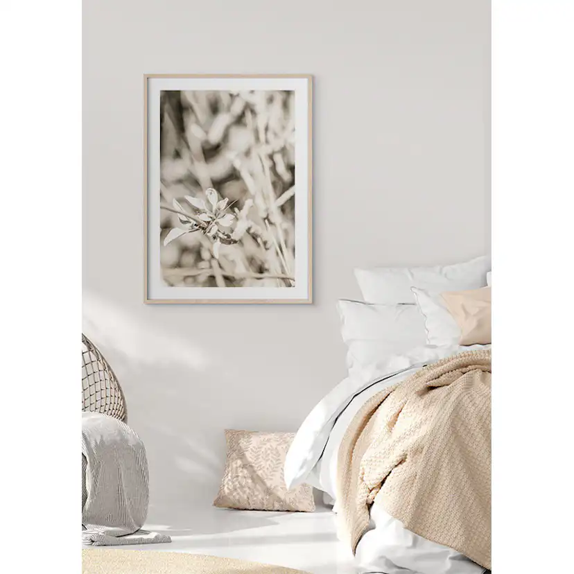 Poster Gallerix Dried Plant No4