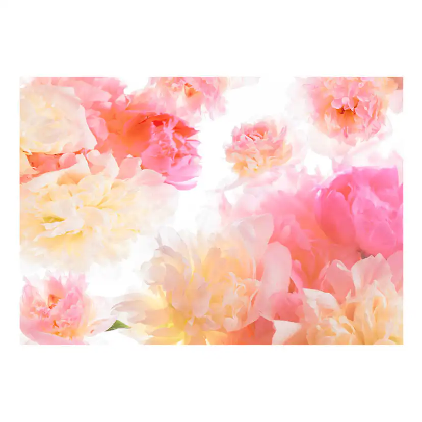 Fototapet Arkiio Pastel Peonies
