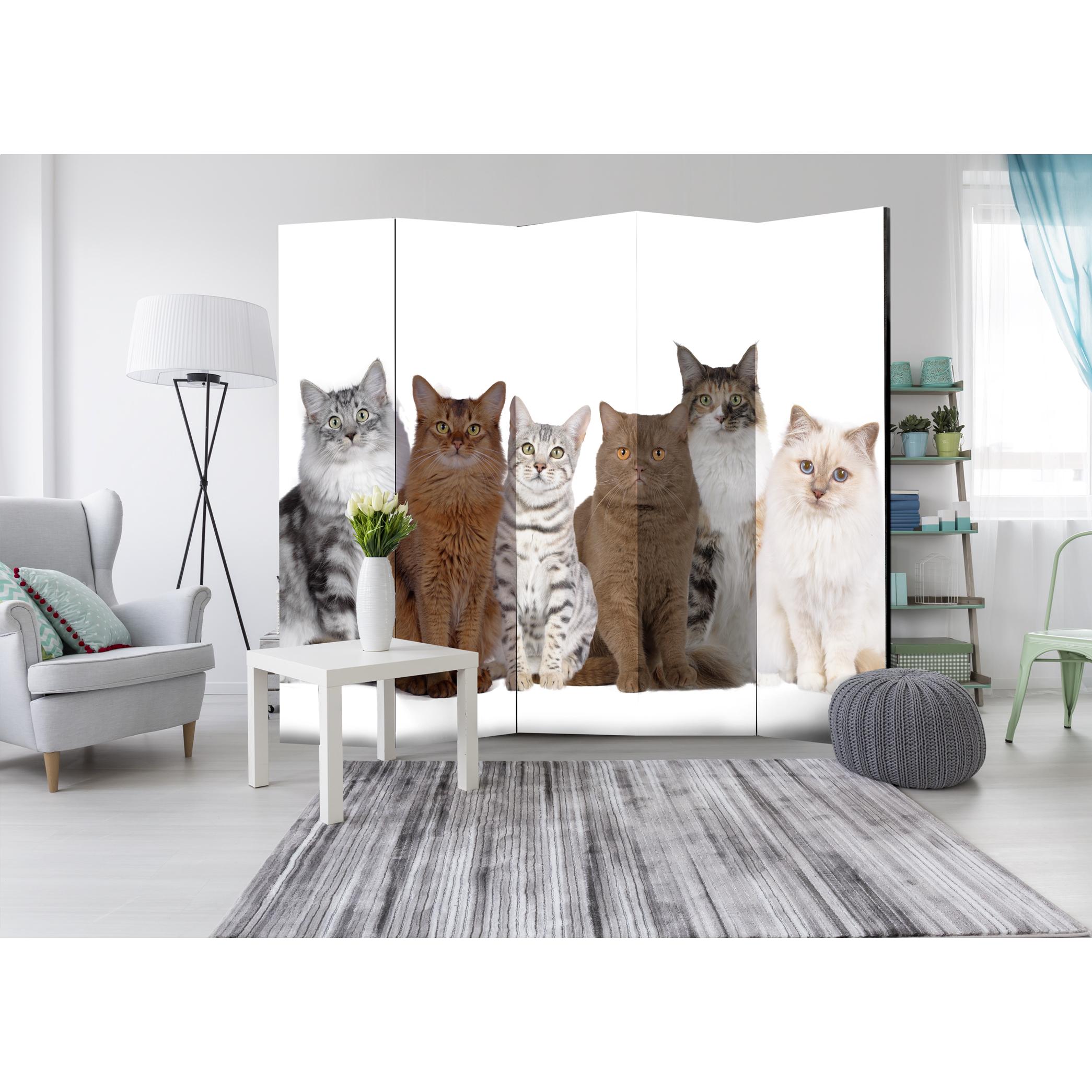 Rumsavdelare Skärmvägg Arkiio Sweet Cats II 225x172 cm