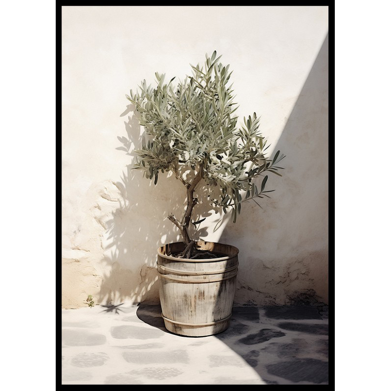 Poster Gallerix Olive Tree Mediterranean No2