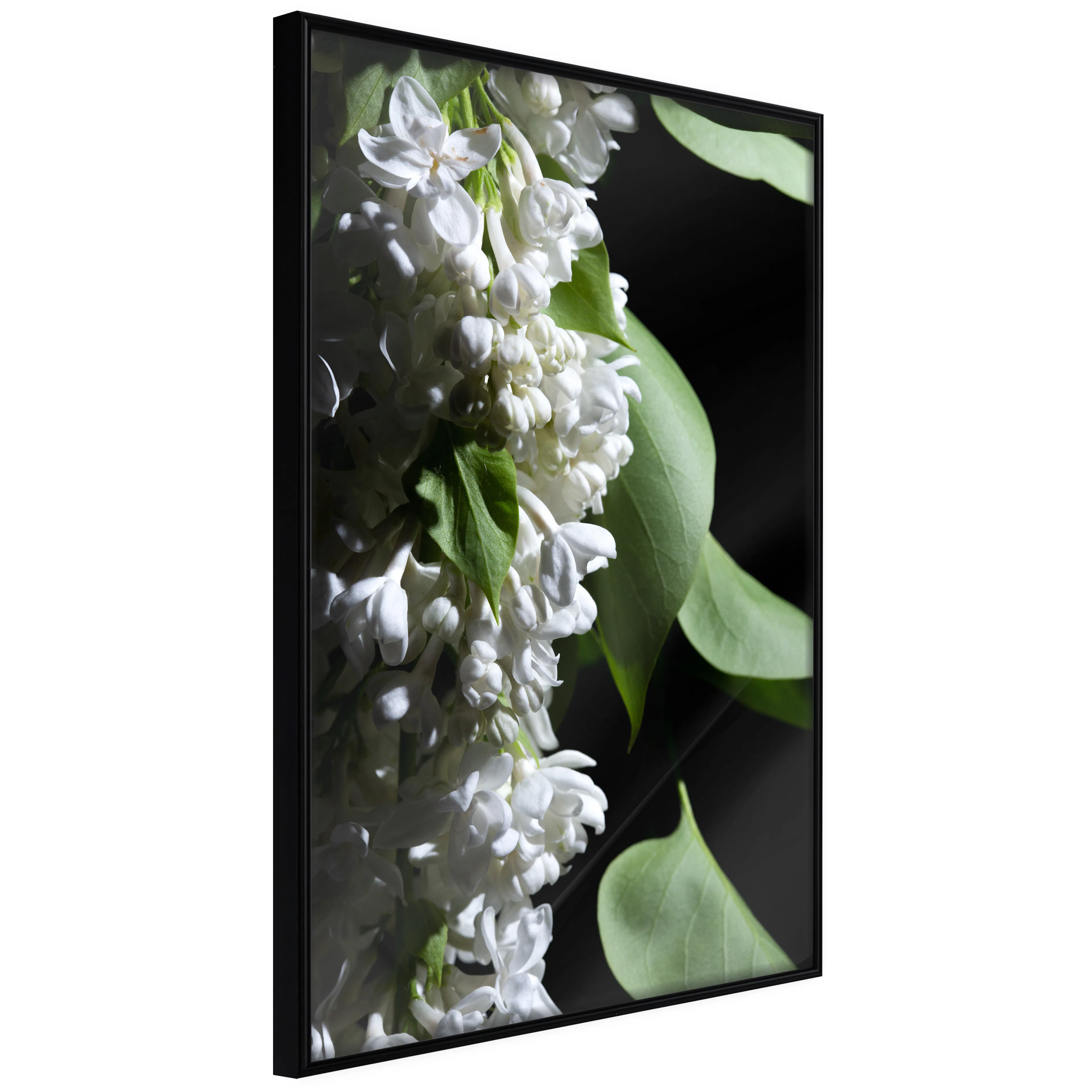 Affisch - Lilacs Detail [Poster] 20x30 Svart ram, 20x30 cm