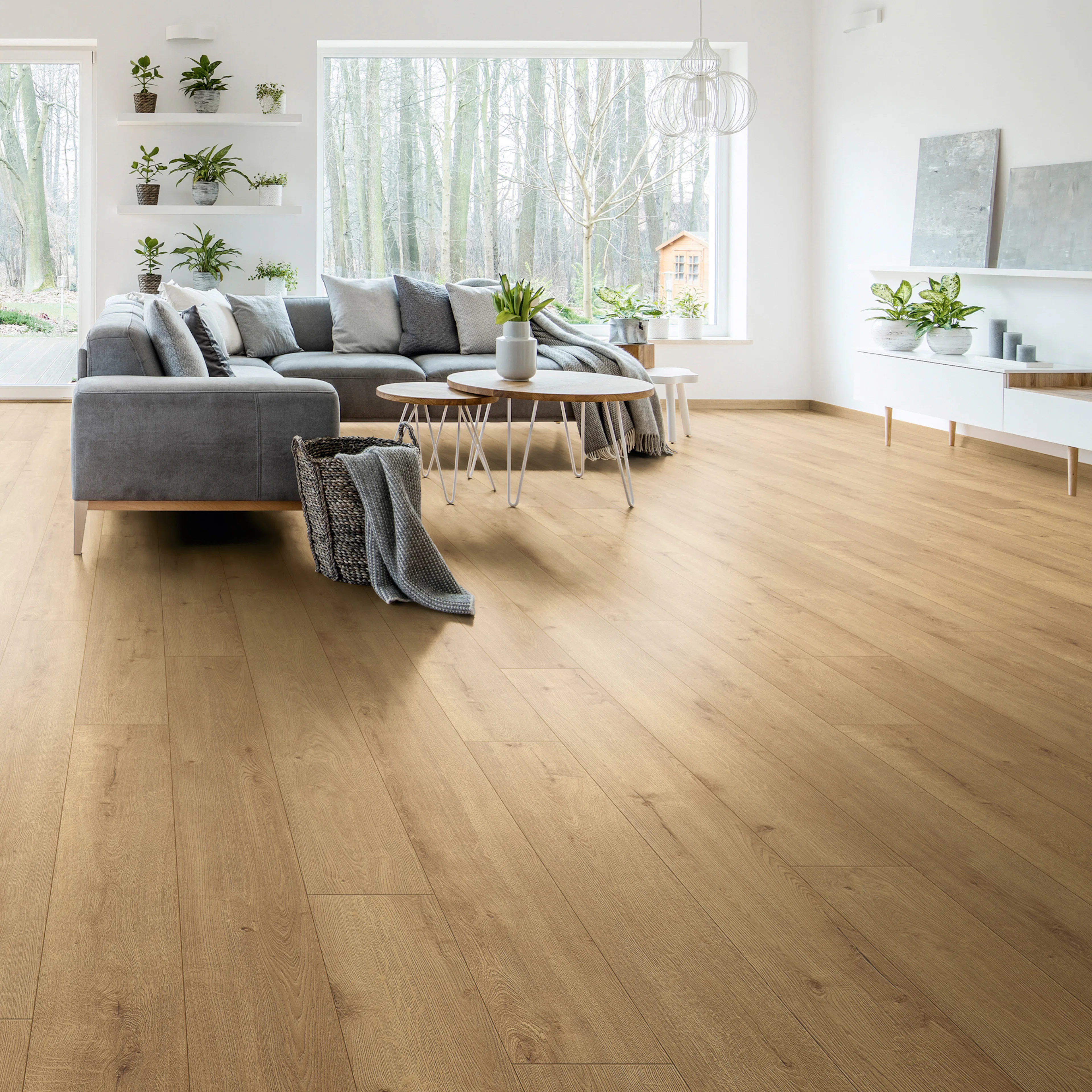 Laminatgolv Wallmann Altitude MO.RE Ek Sundance K326 Pure+ 1-Stav