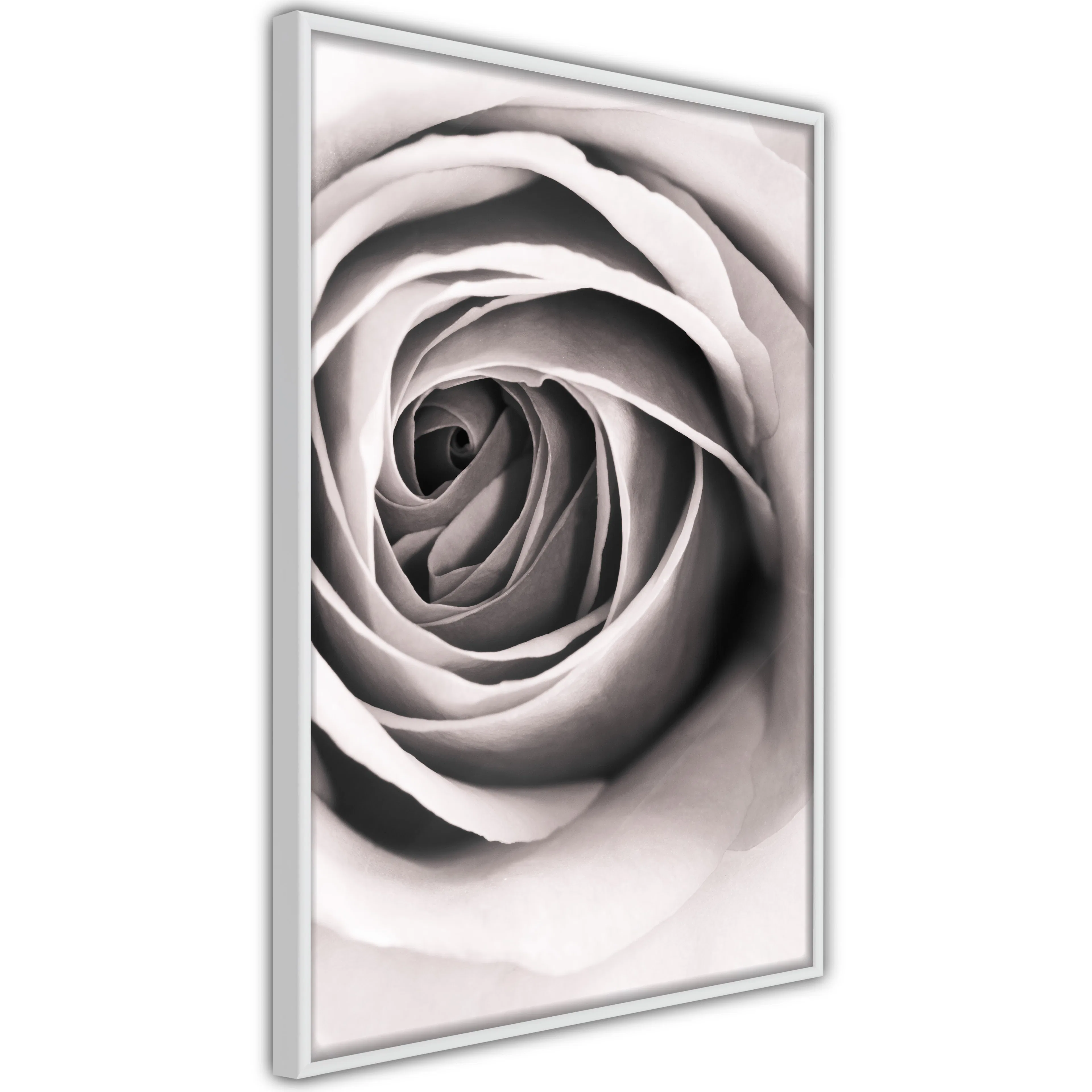 Poster Artgeist Affisch Rose Vortex