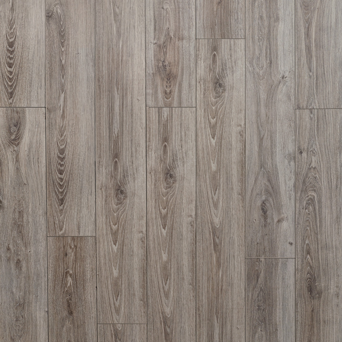 Laminatgolv Tenfors Oak New York 8 mm, 1-stav