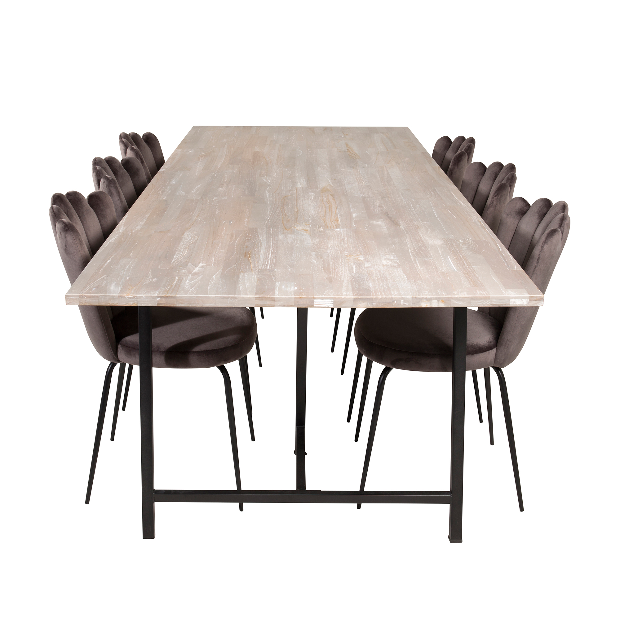 Matgrupp furniture/fashion Jenni med 6 Limhamn Light Stolar