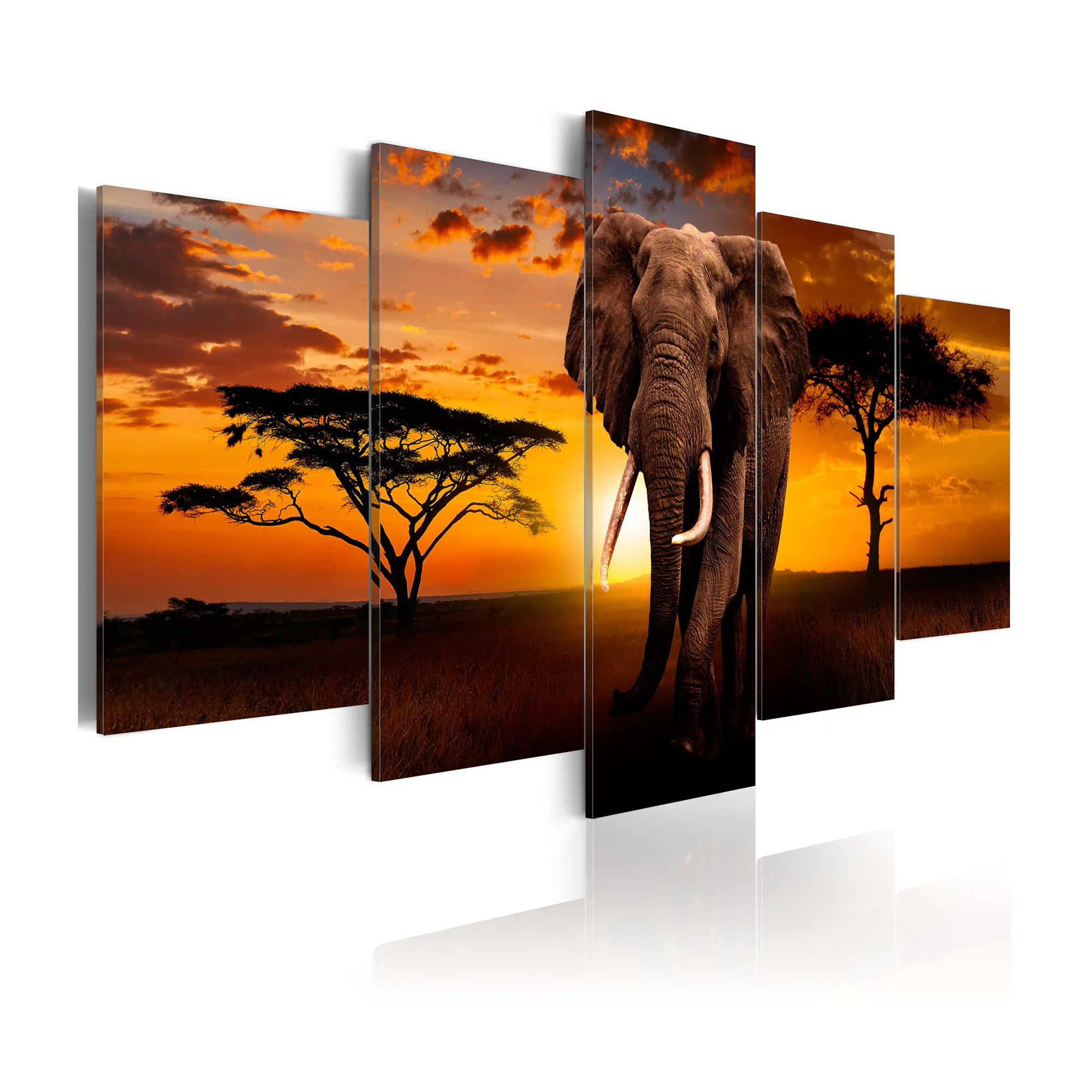 Tavla Arkiio The Savannah King