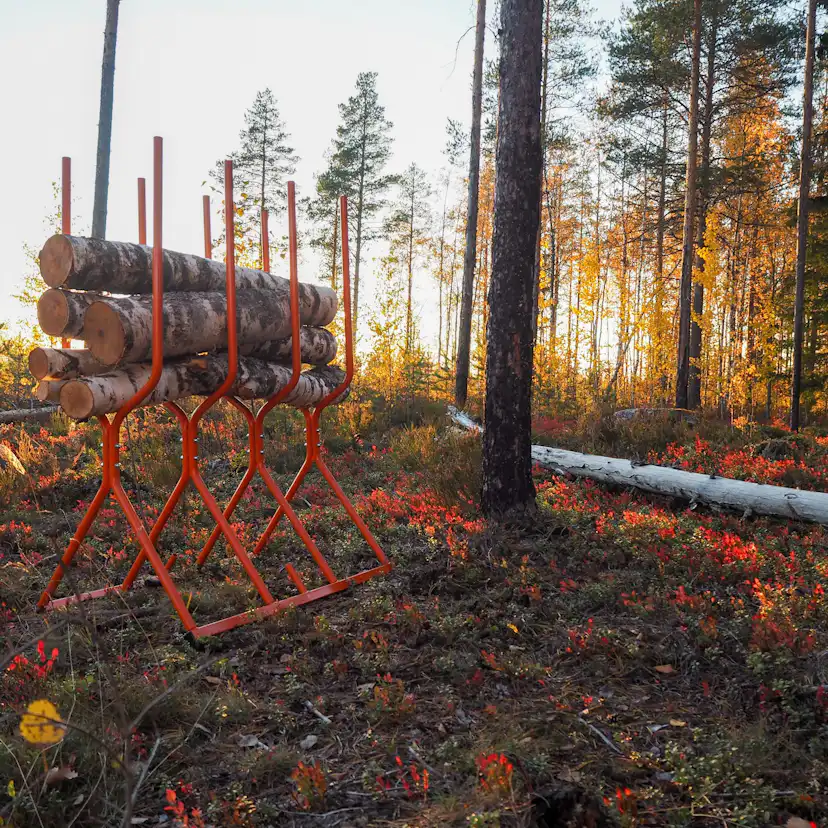 Sågbock Varax
