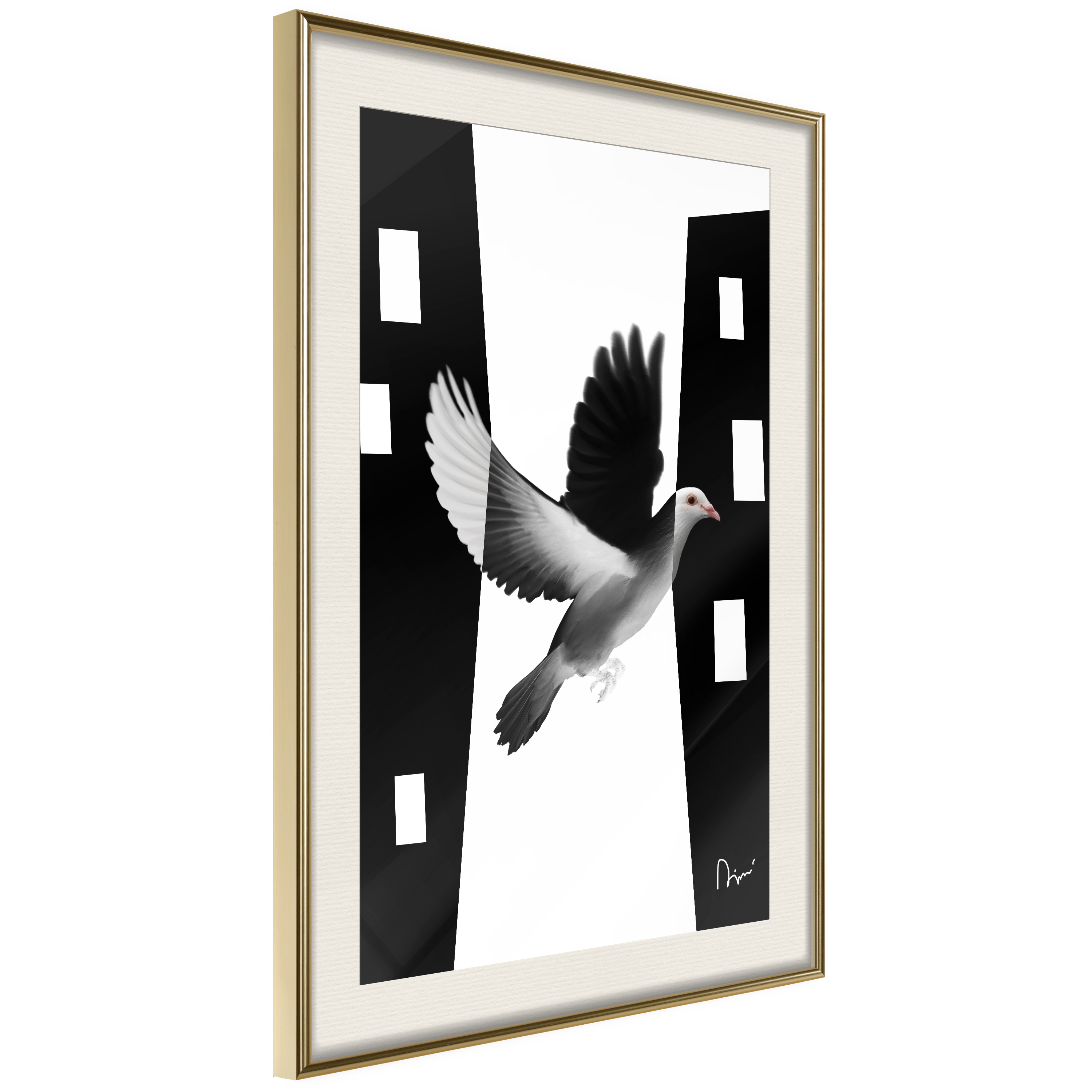 Poster Artgeist Affisch White Dove