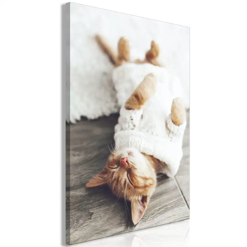 Tavla Arkiio Lazy Cat