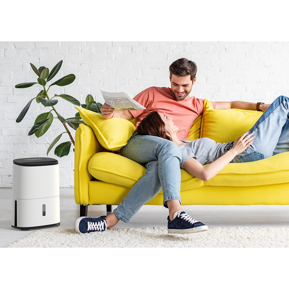 Avfuktare och Luftrenare Meaco MeacoDry Arete One 12L