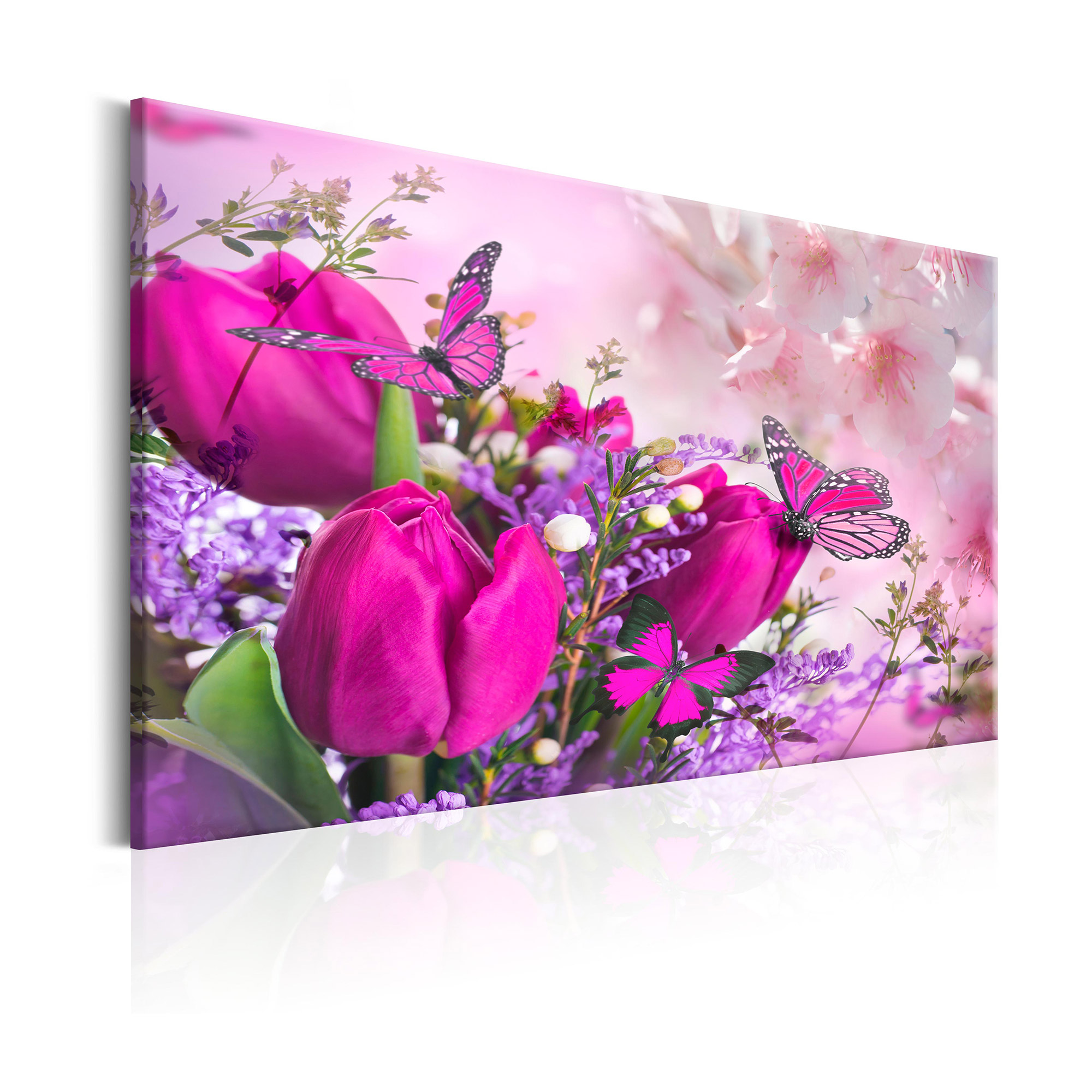 Tavla Arkiio Spring Explosion