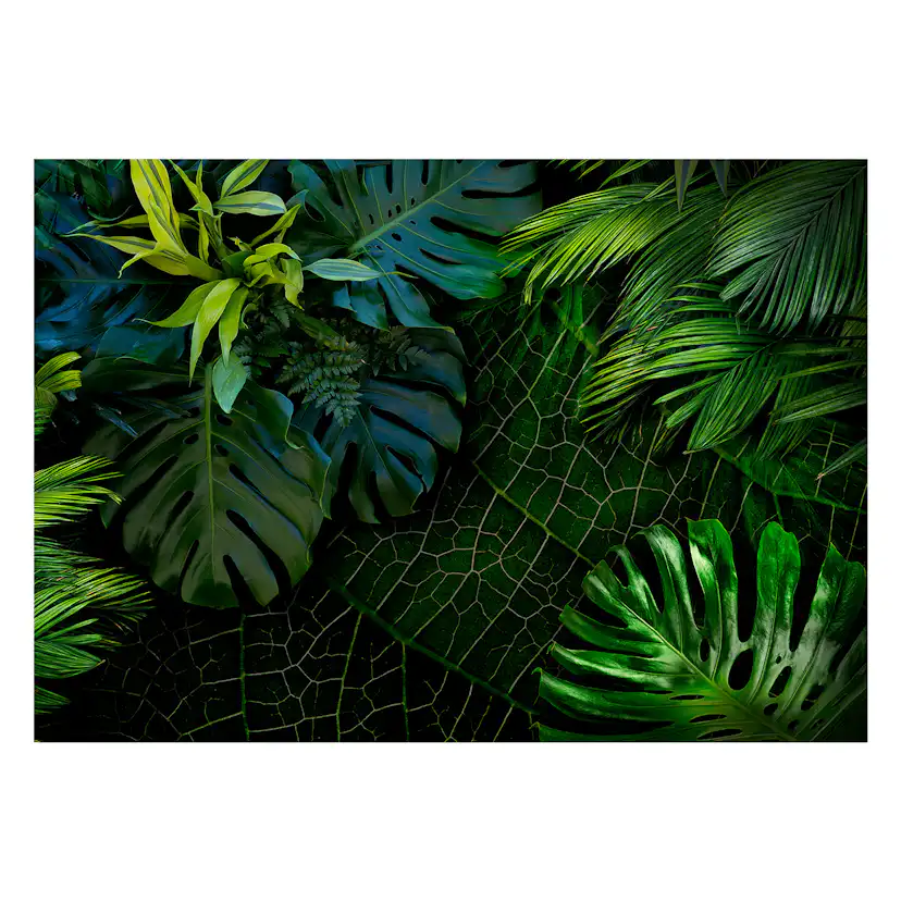 Fototapet Arkiio Dark Jungle 450x315 cm