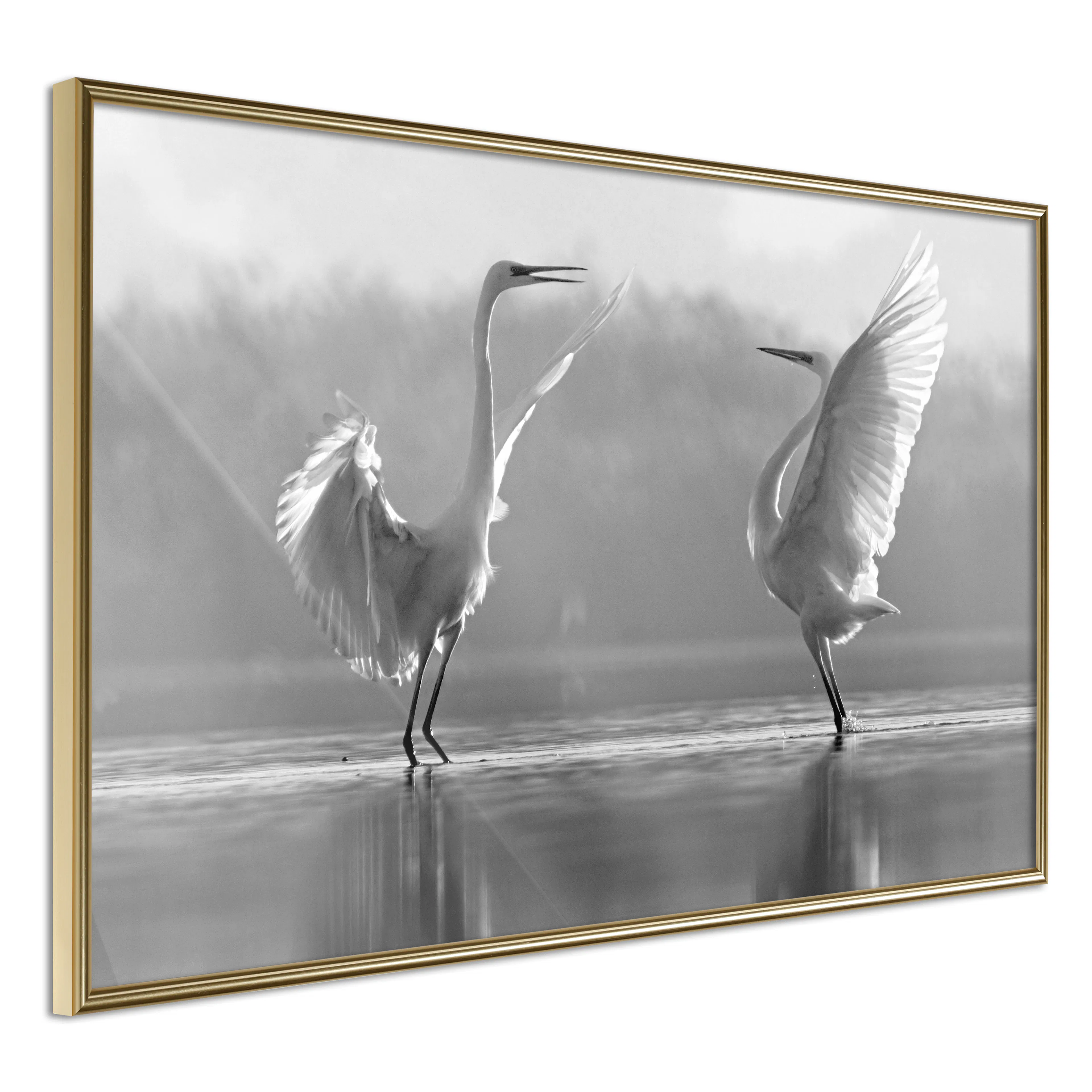 Affisch - Heron Love [Poster] 45x30 Guld ram, 45x30 cm