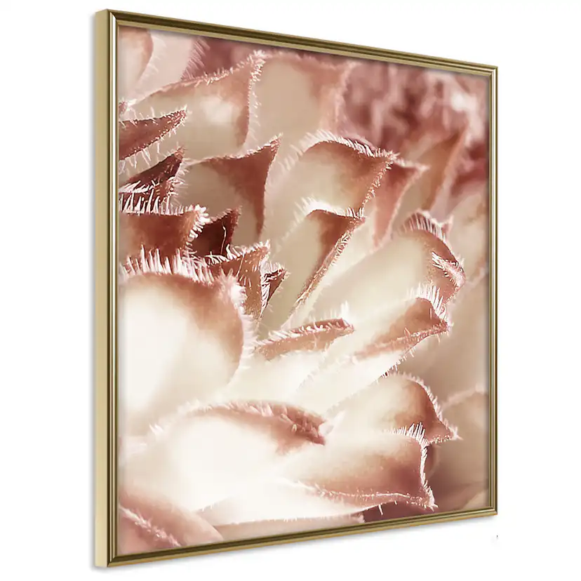 Poster Artgeist Affisch Delicate Touch