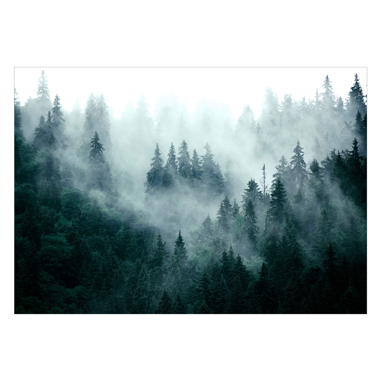 Fototapet Arkiio Mountain Forest (Dark Green)
