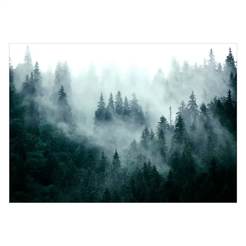 Fototapet Arkiio Mountain Forest (Dark Green)