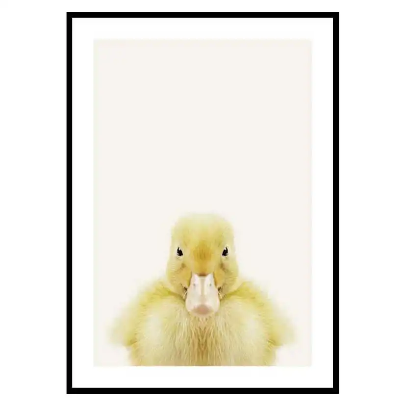 Poster Gallerix Baby Duck