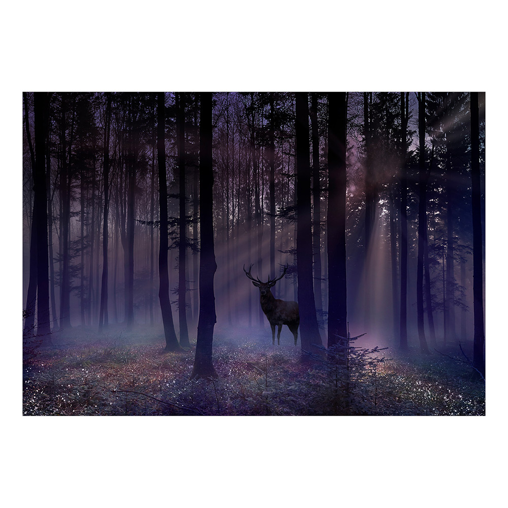 Självhäftande fototapet - Mystical Forest - Second Variant 1 Storlek: 196x140 cm