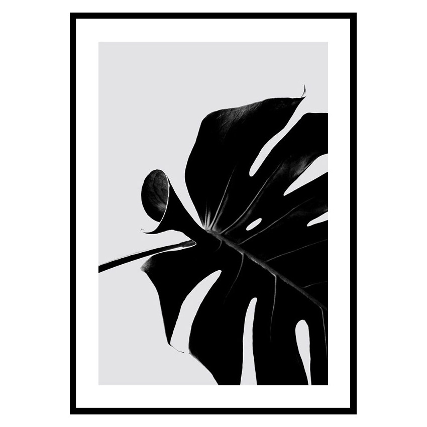 Poster Gallerix Monstera Black