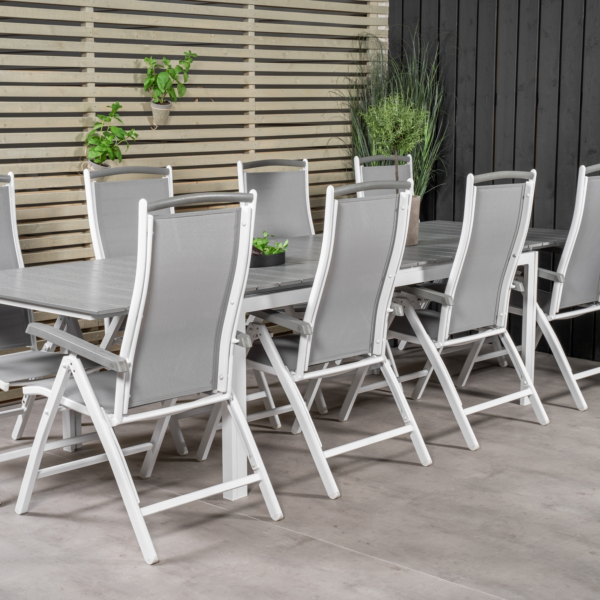 Matgrupp Venture Home Lova 224/324 med 8 Albany Stolar