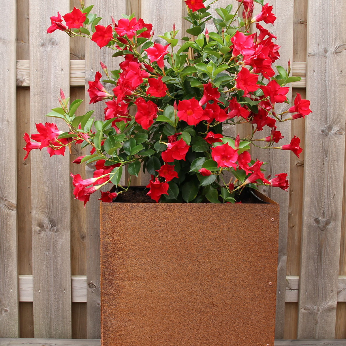 Ytterkruka Flexigarden Corten