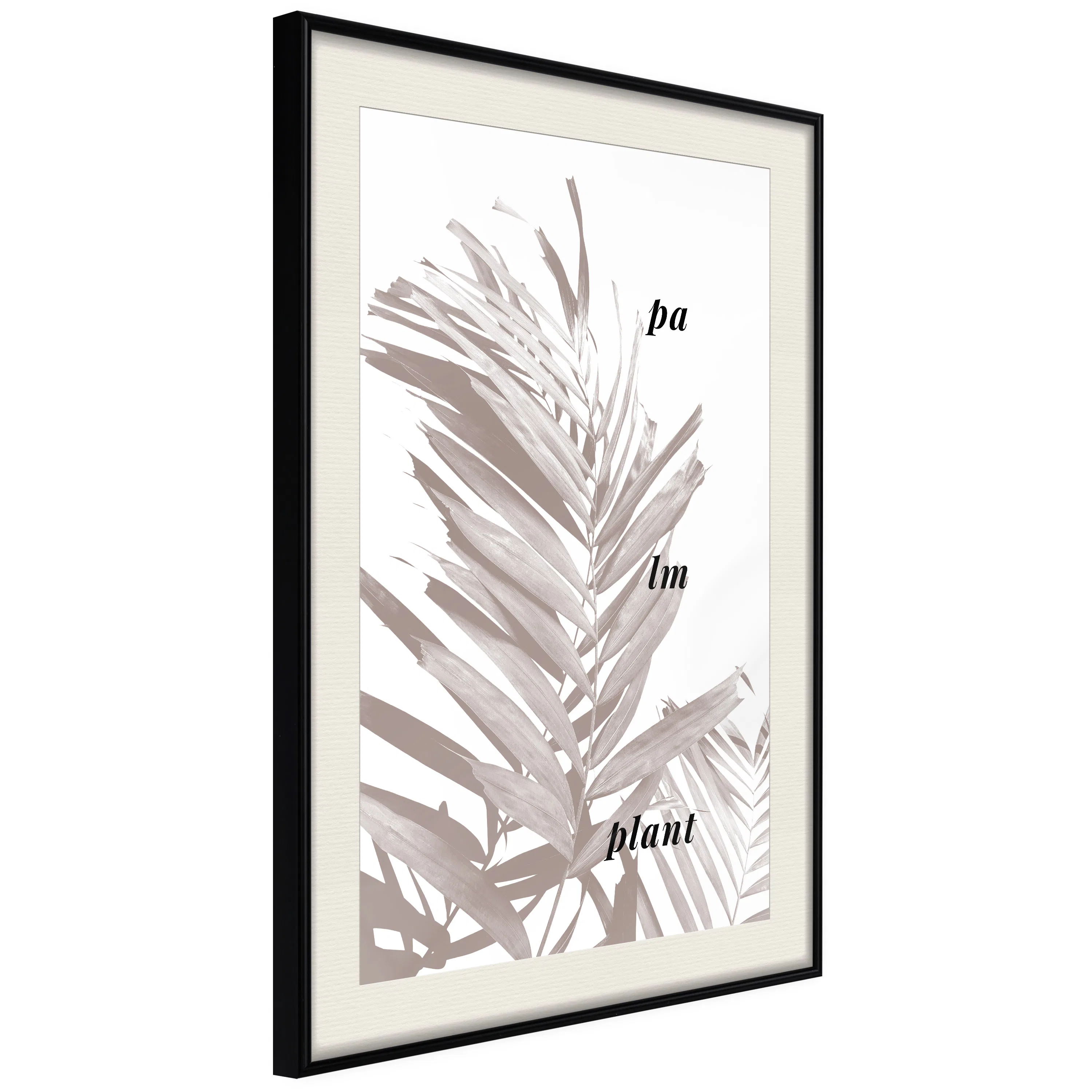 Poster Artgeist Affisch Palm Plant