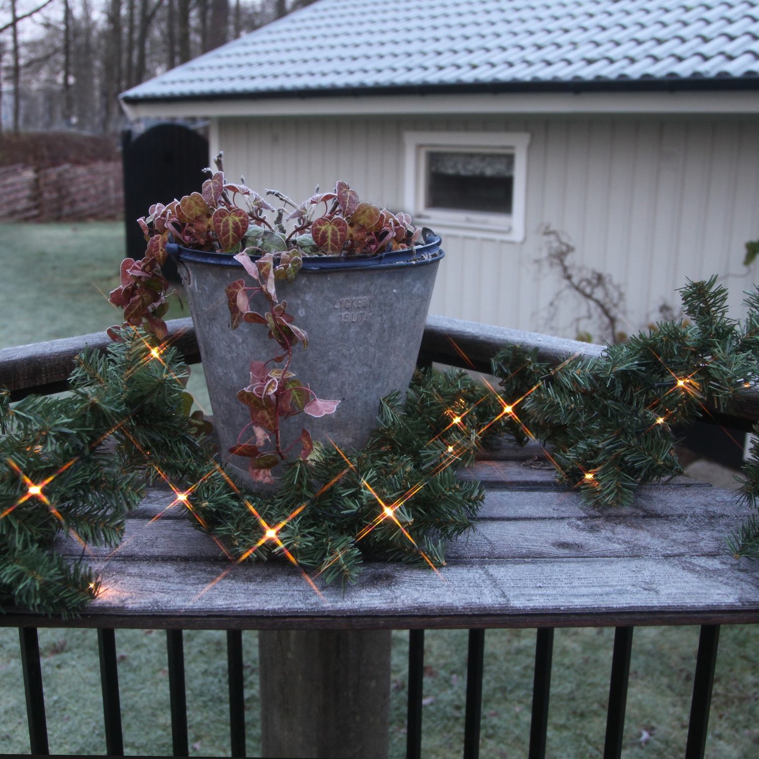 Grangirlang Star Trading Canadian