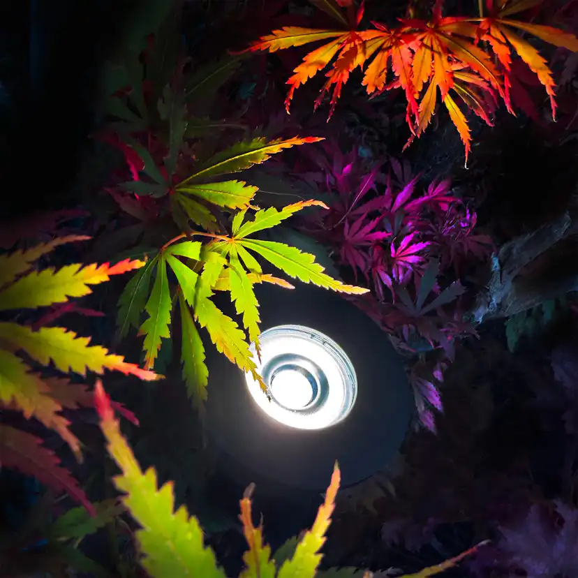 Markspot LightsOn Luminus