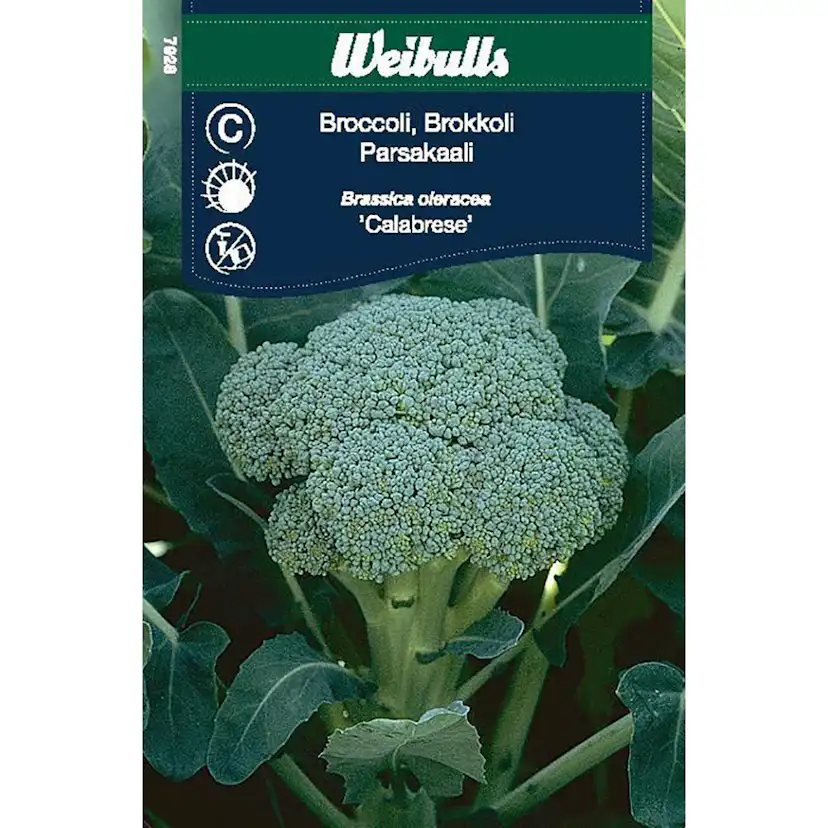 Frö Kål Weibulls Broccoli