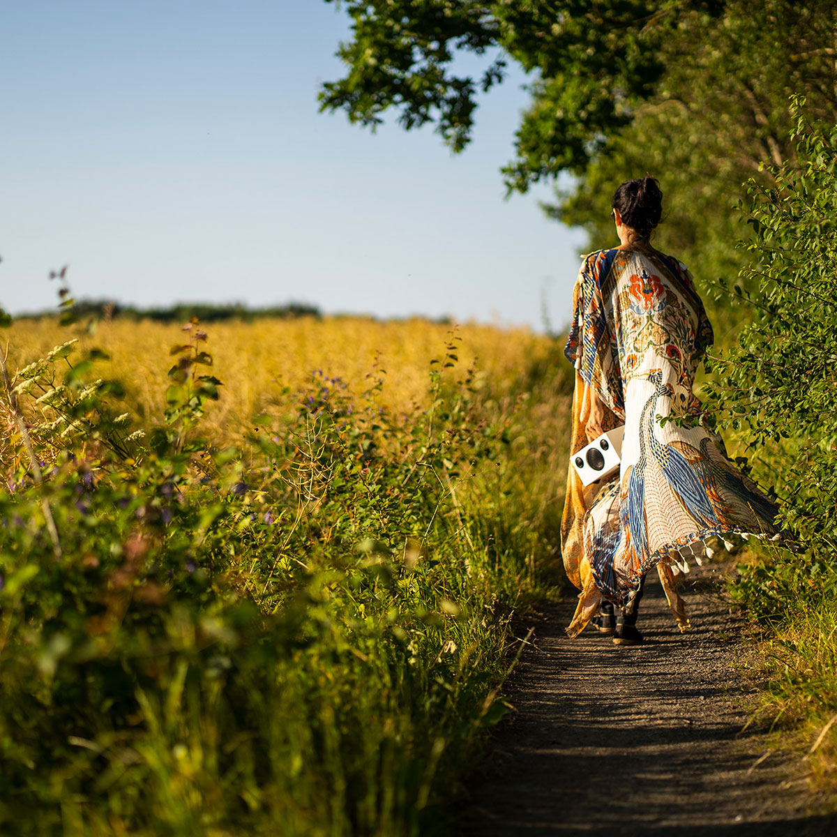 Högtalare Audio Pro Addon T3+