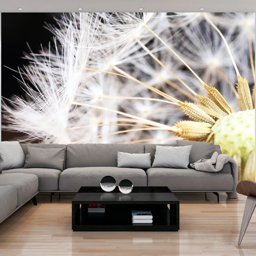 Fototapet Arkiio Fluffy Dandelion