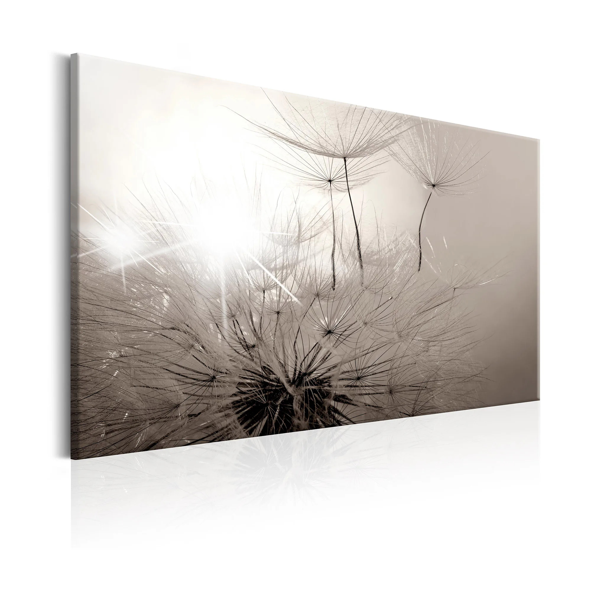 Tavla Arkiio Beautiful Summer Dandelions