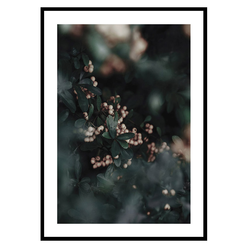 Poster Gallerix Forest Vegetation