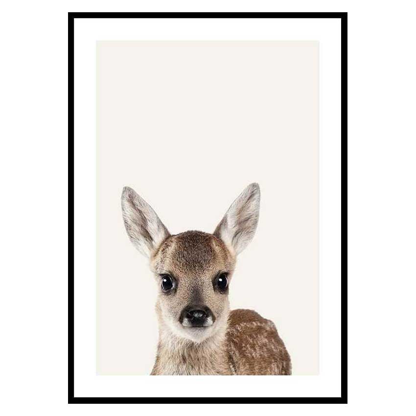 Poster Gallerix Baby Deer