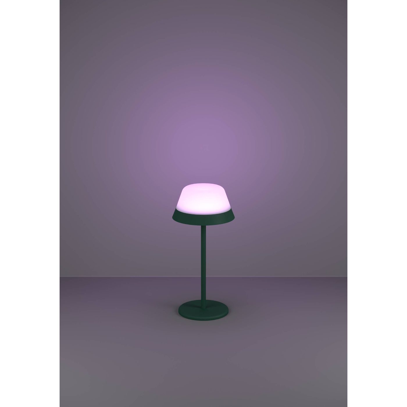 Bordslampa Eglo Meggiano