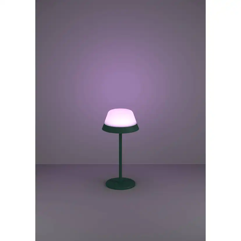 Bordslampa Eglo Meggiano