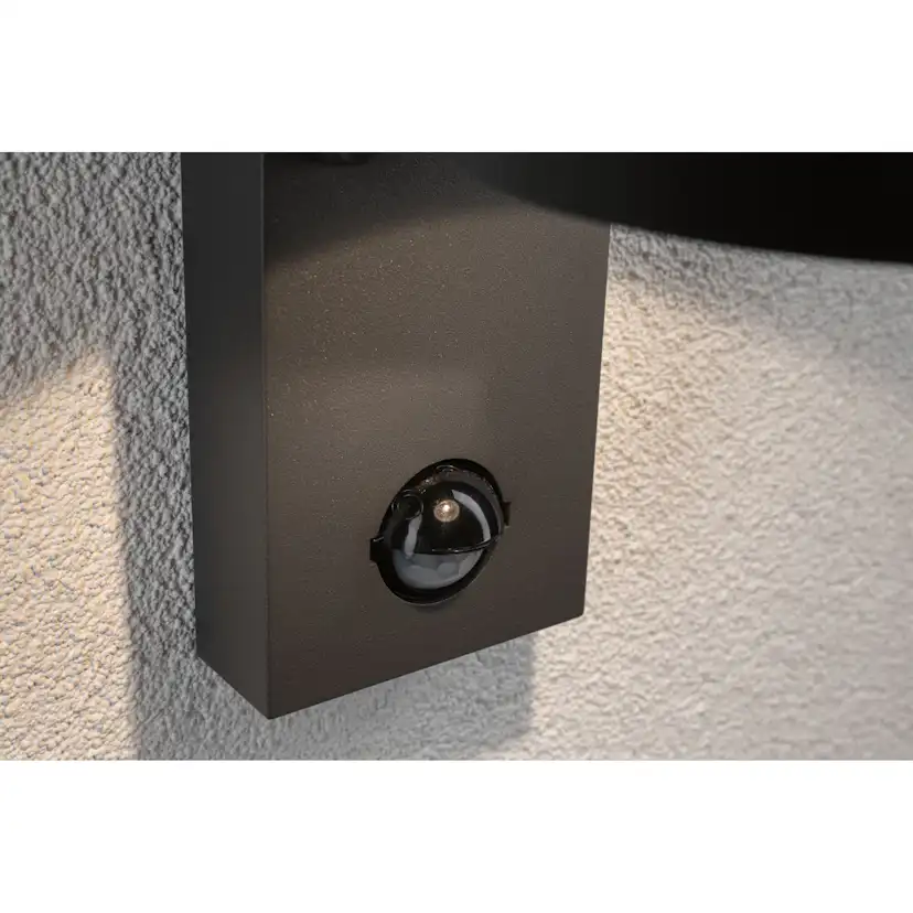 Fasadbelysning LED Paulmann Capea IP44 230V Design: med Skymningsstyrd Rörelsedetektor, Ljus: Soft White