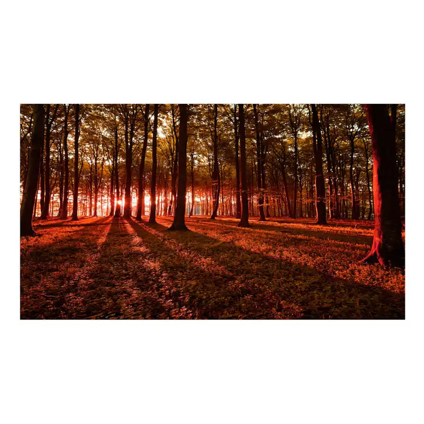 Fototapet Arkiio Självhäftande Autumn Morning II 490x280