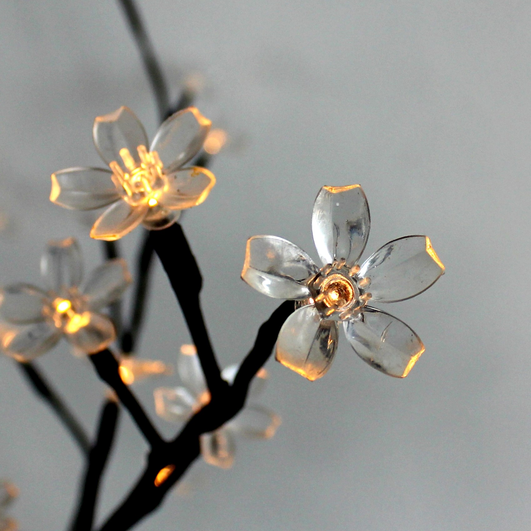 Ljusslinga Lightson Bloom med 100 Dioder